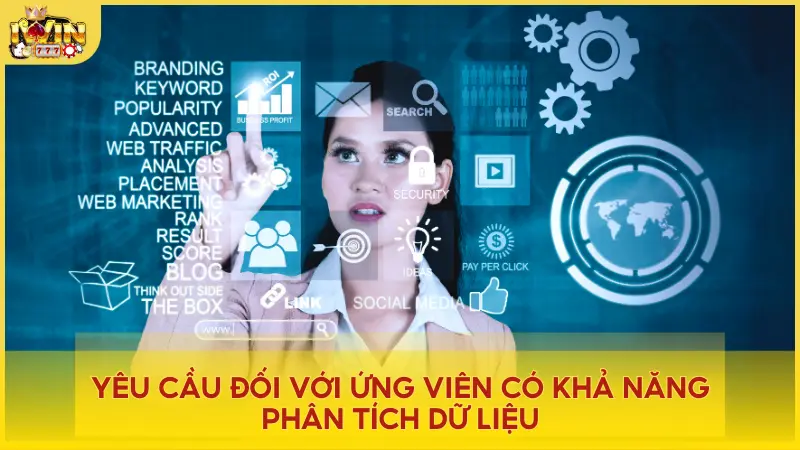 Ứng viên có khả năng phân tích dữ liệu, nắm vững kiến thức SEO